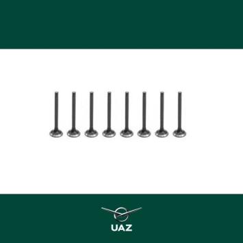 set uitlaatkleppen motor - UB0837